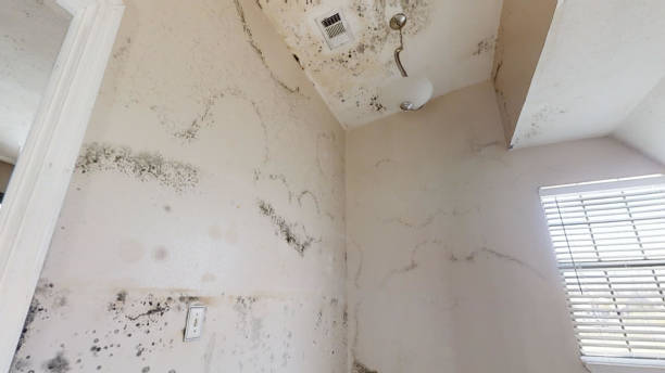 Best Residential Mold Inspection & Testing  in Milton, GA