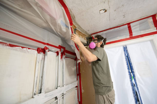 Best Mold Remediation for Healthcare Facilities  in Milton, GA